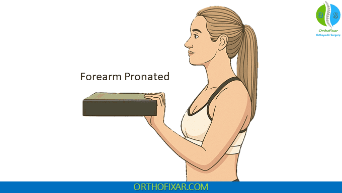 Polk Test with forearm pronated