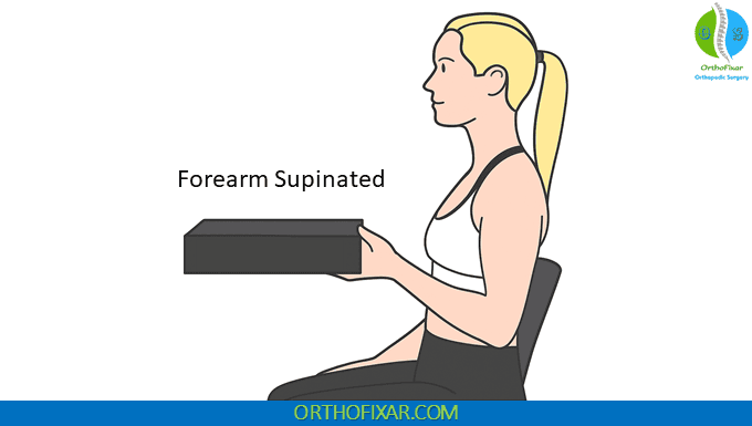 Polk Test with forearm supinated
