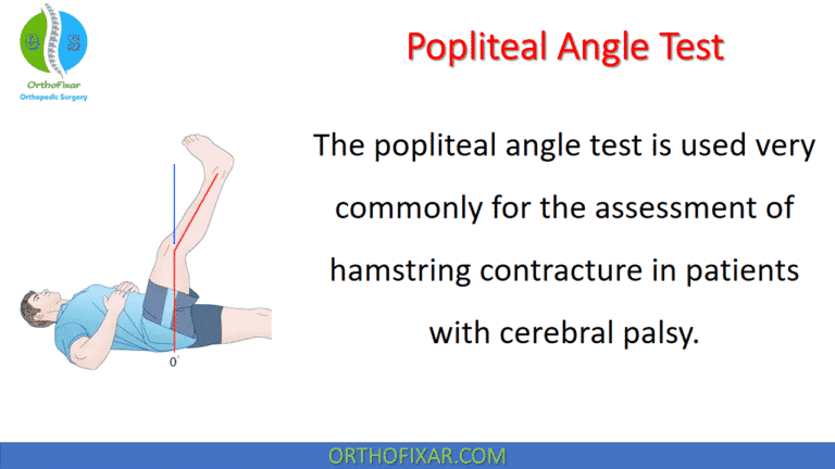 Popliteal Angle Test