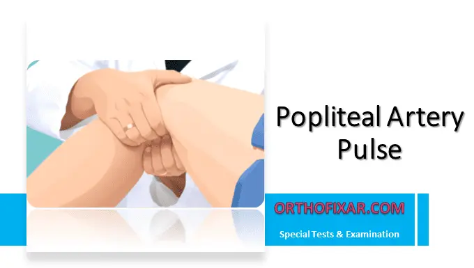 Popliteal Artery Pulse Location, Palpation & Clinical Signs