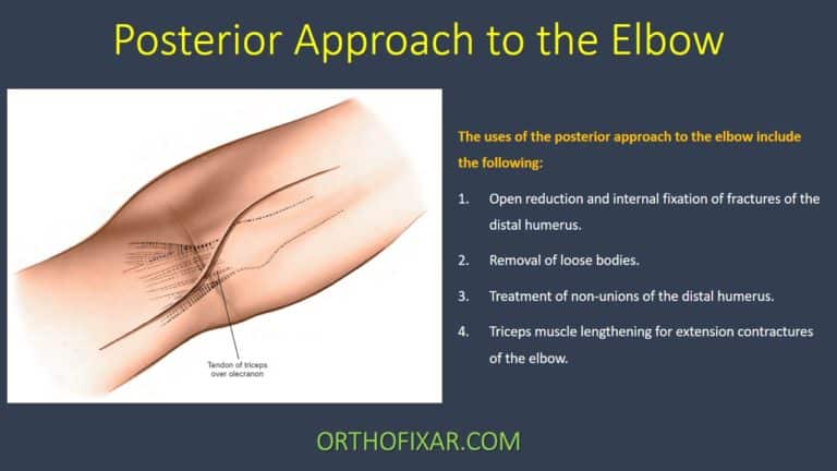 Posterior Approach to the Elbow indications