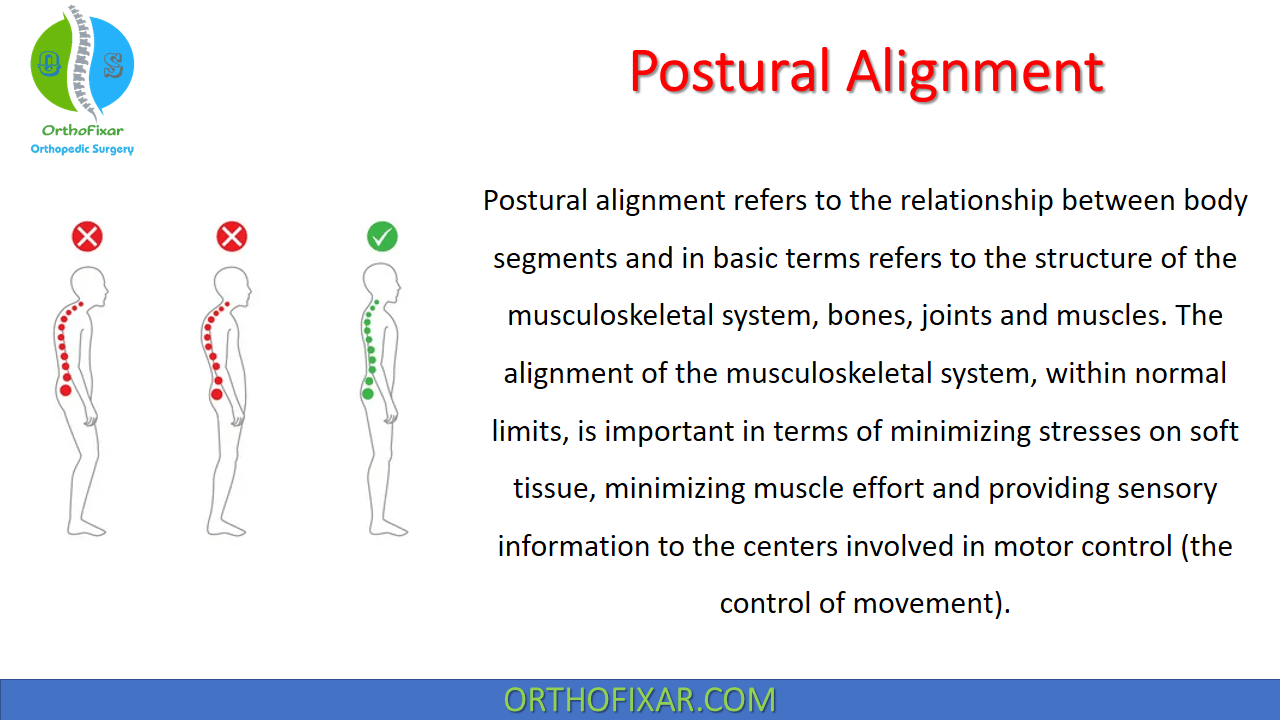 Posture and Body Alignment