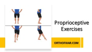 Proprioceptive Exercises in Physiotherapy