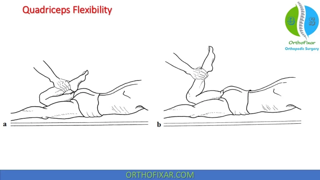 Quadriceps Flexibility Test