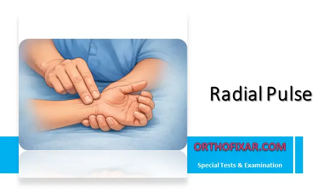 Radial Pulse Assessment