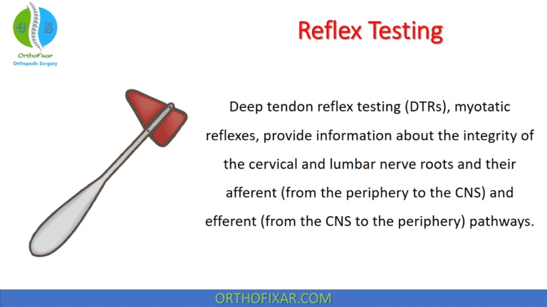 Reflex Testing