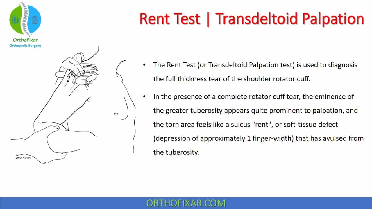  Rent Test | Transdeltoid Palpation 