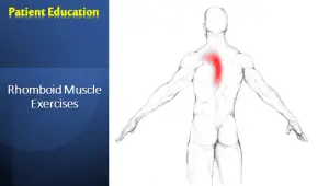 Rhomboid Muscle Exercises for Better Posture and Pain Relief