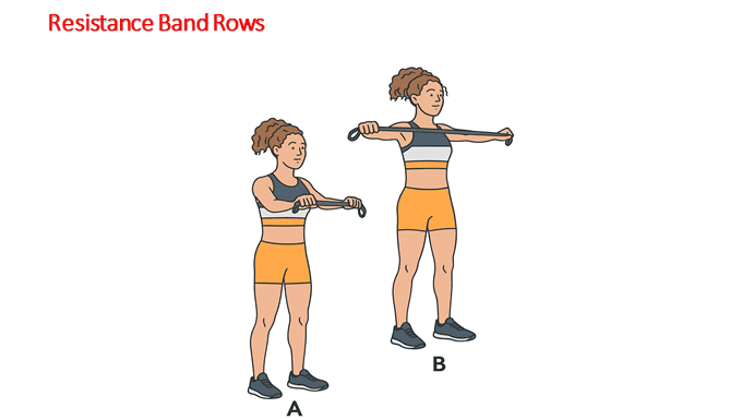 Rhomboid Muscle Exercises for Better Posture and Pain Relief 3 Rhomboid Muscle Exercises- Resistance Band Rows