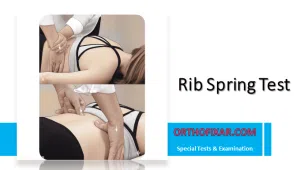 Rib Spring Test