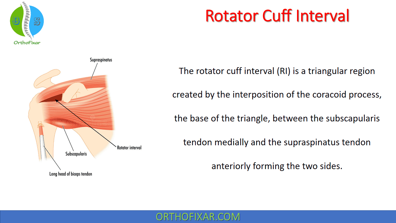 Rotator Cuff Interval