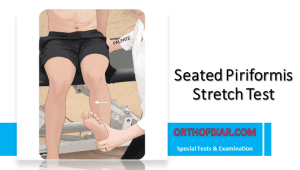 Seated Piriformis Stretch Test