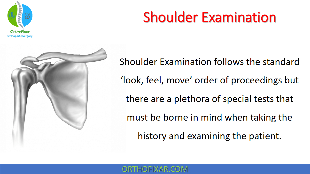 Shoulder Examination 