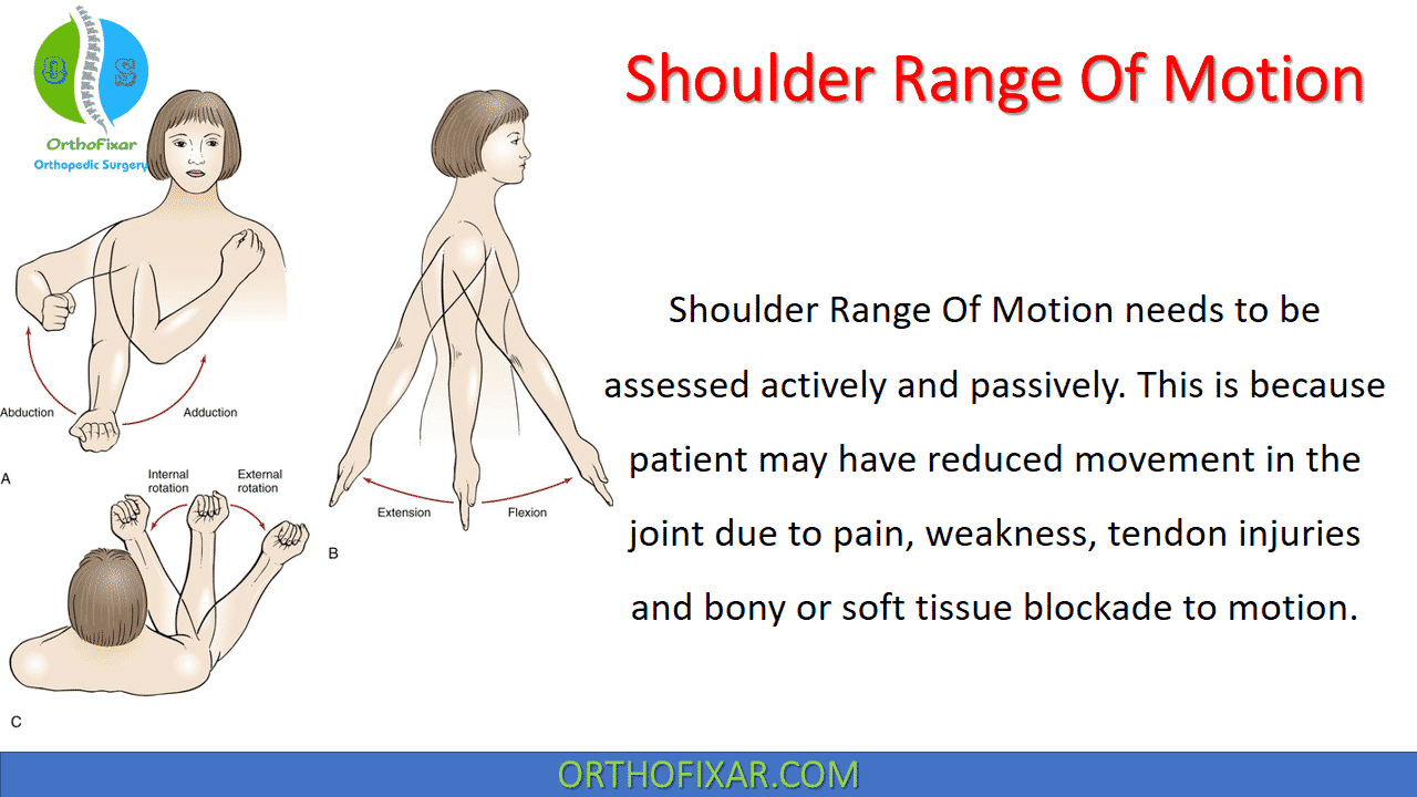  Normal Shoulder Range of Motion 