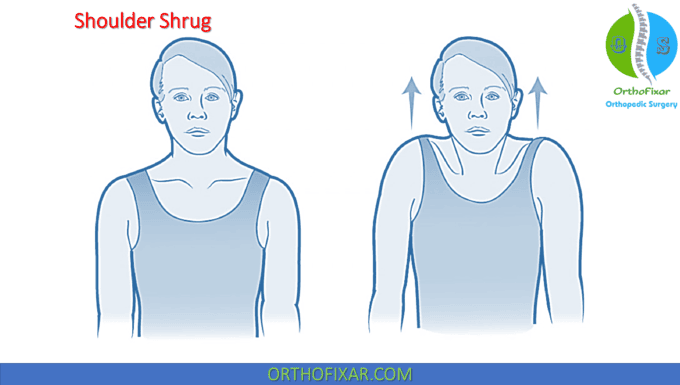 Normal Shoulder Range Of Motion | OrthoFixar 2024