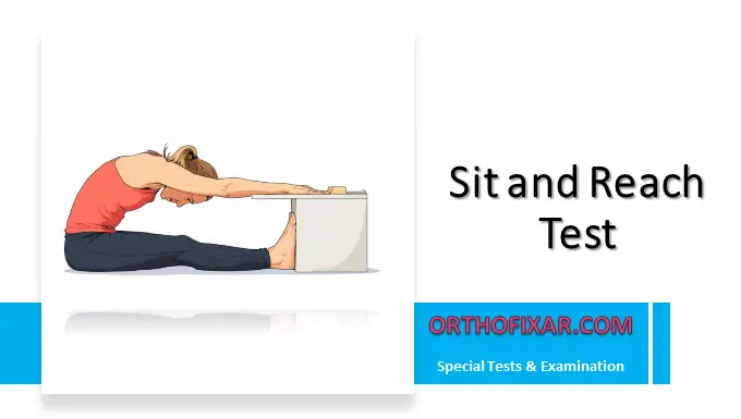 Sit and Reach Test
