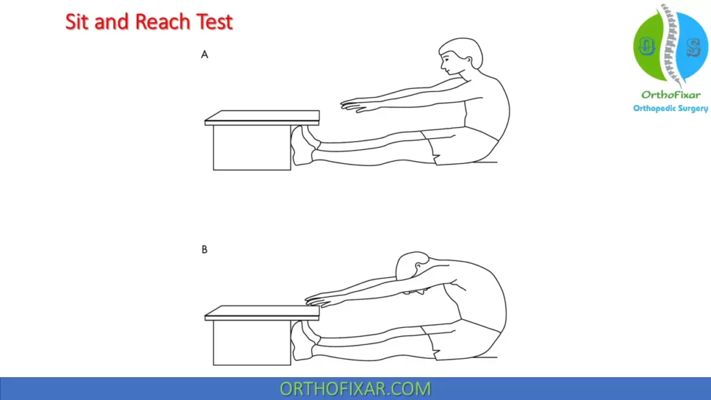 Sit and Reach Test