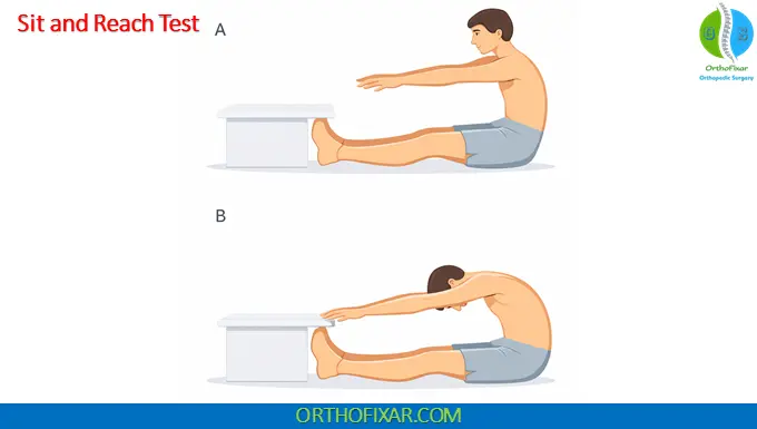 Sit and Reach Test 2 Sit and Reach Test for hamstrings