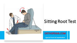 Sitting Root Test
