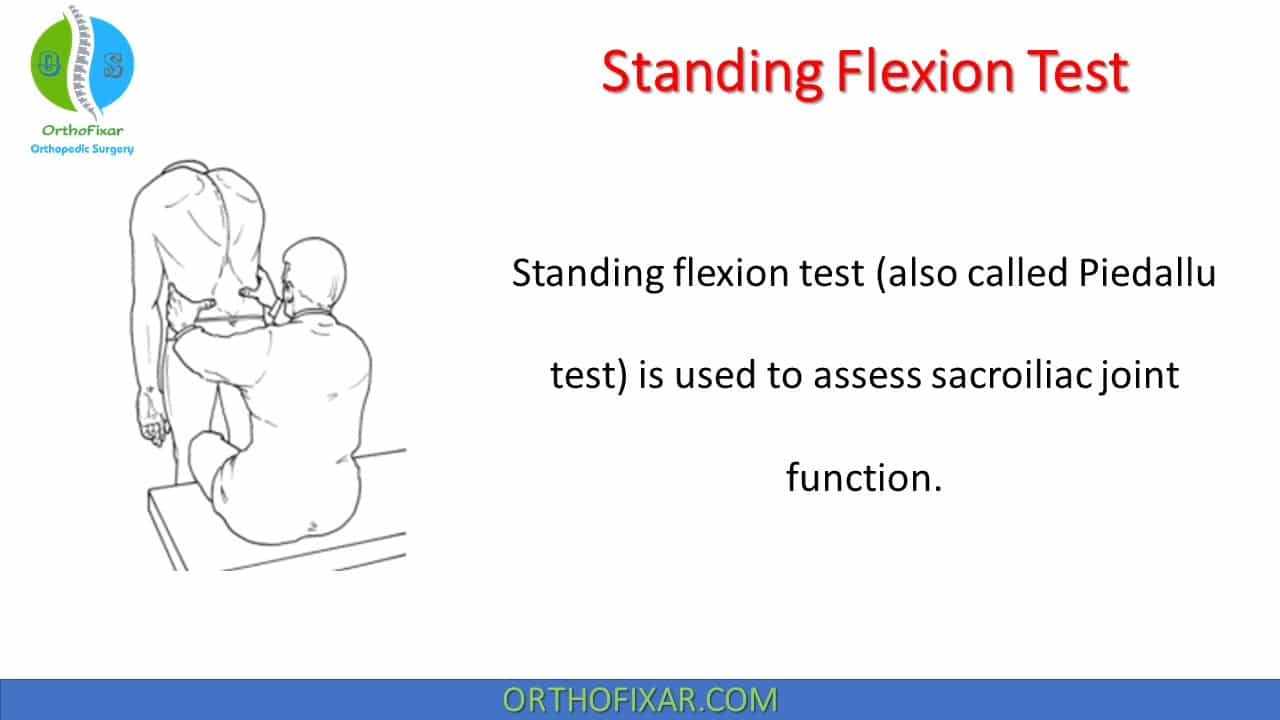 Standing Flexion Test | OrthoFixar 2025