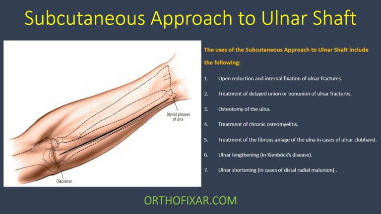 Subcutaneous Approach to Ulnar Shaft
