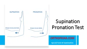 Supination Pronation Test Explained Easily | OrthoFixar