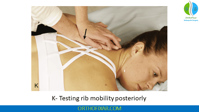 Testing rib mobility posteriorly