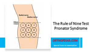 The Rule of Nine Test for Pronator Syndrome