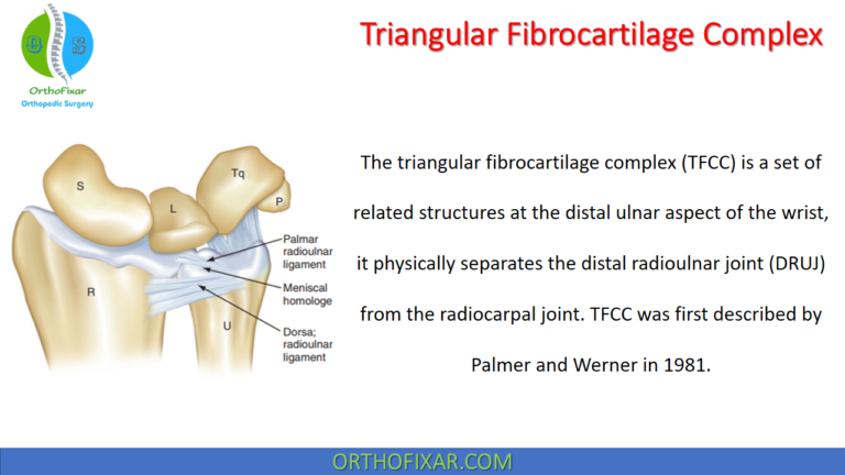 Triangular Fibrocartilage Complex