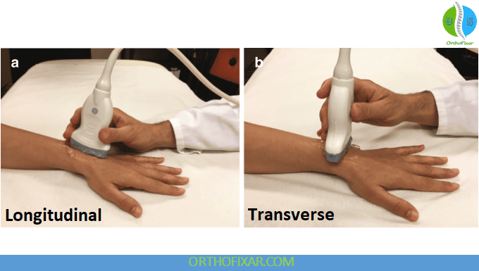 Ultrasound Basics for Medical Students: Orientation and Artifacts 5 Ultrasound Orientation