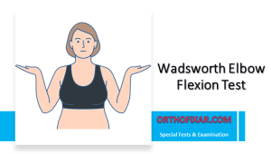 Wadsworth Elbow Flexion Test