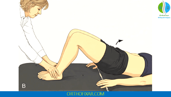 Weber Barstow Maneuver pelvic raise