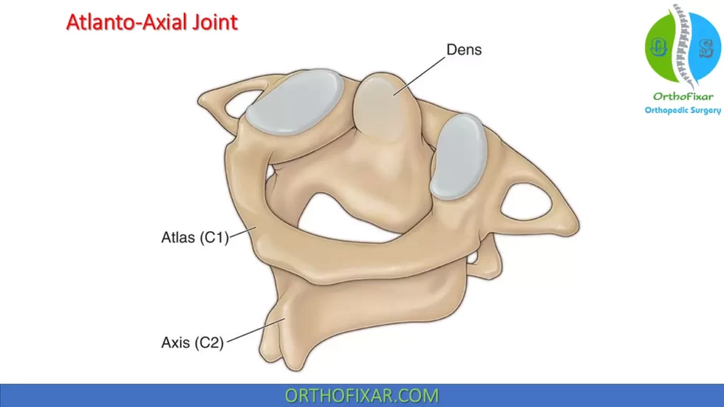 atlanto-axial joint