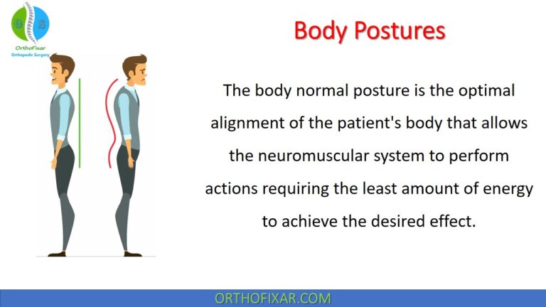 body postures