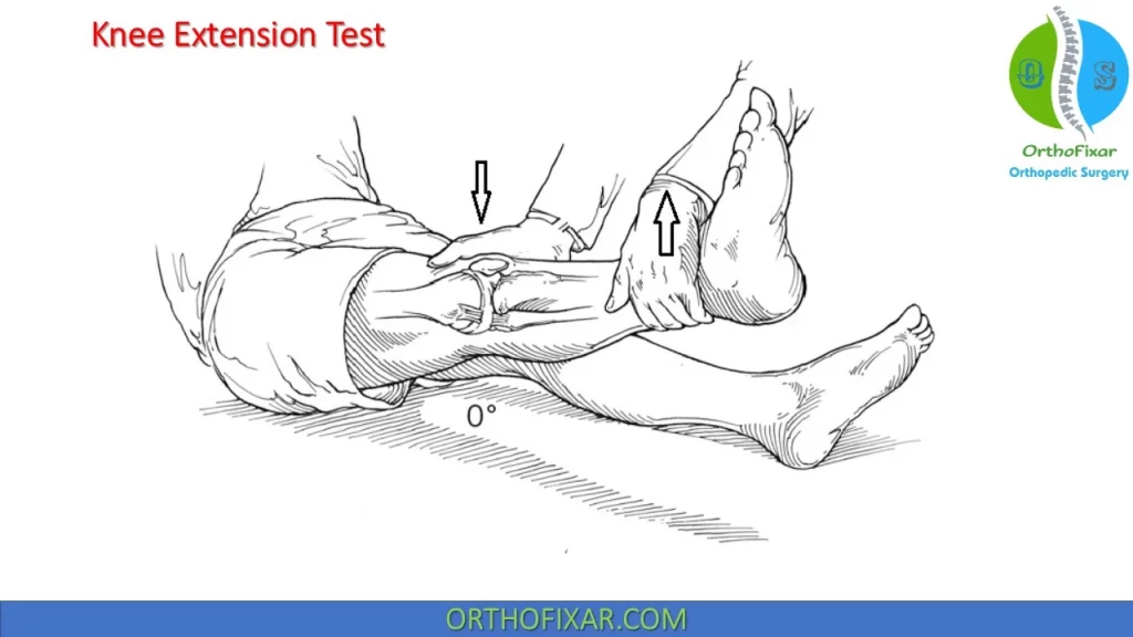 knee extension test