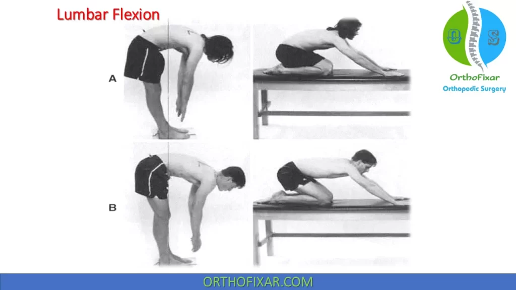 lumbar flexion impairment