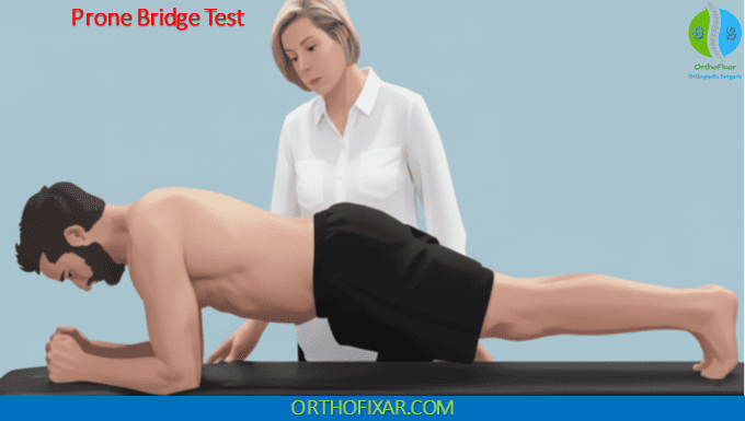prone bridge endurance test