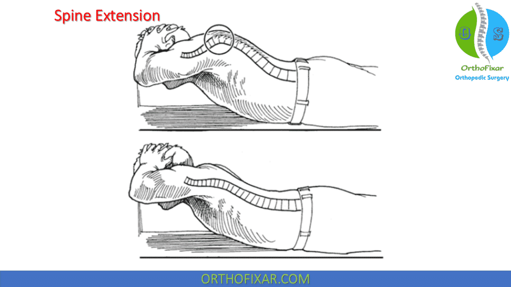 spine extension