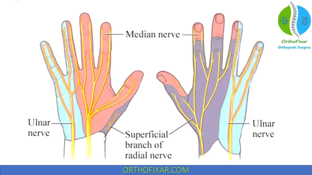 Nerve Block For Wrist Surgery